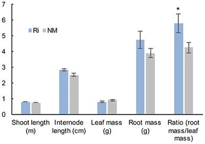 Arbuscular Mycorrhizal Symbiosis Triggers Major Changes in Primary Metabolism Together With Modification of Defense Responses and Signaling in Both Roots and Leaves of Vitis vinifera